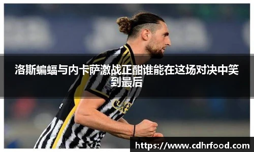 洛斯蝙蝠与内卡萨激战正酣谁能在这场对决中笑到最后